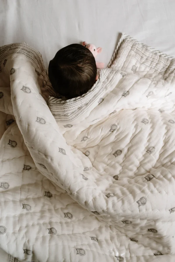 Owl Block Printed Baby Quilt