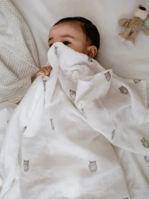 Owl Muslin Swaddle Set