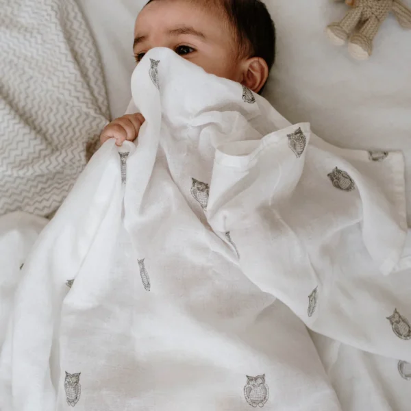 Owl Muslin Swaddle Set